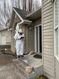Image for Insight Pest Solutions with ID of: 6053449