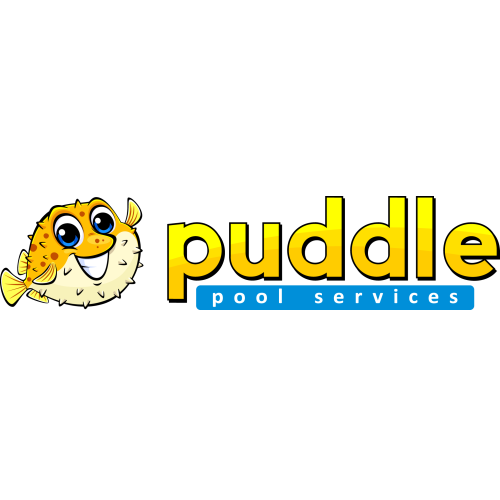 Image for Puddle Pool Services with ID of: 6640790