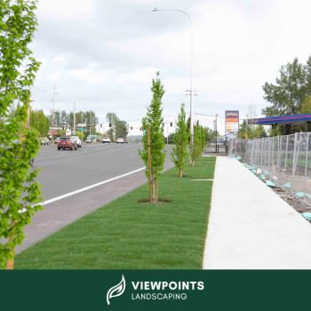 Image for Viewpoints Landscaping with ID of: 6057217