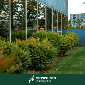 Image for Viewpoints Landscaping with ID of: 6057218