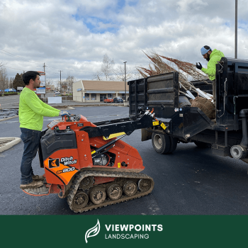 Image for Viewpoints Landscaping with ID of: 6057221