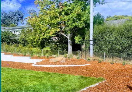 Image for Canberra Gardening & Maintenance with ID of: 6646616