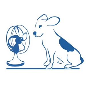Image for Blue Air LLC with ID of: 6646950