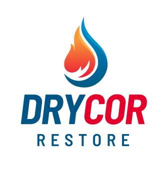 Image for DRYCOR RESTORE with ID of: 6647693