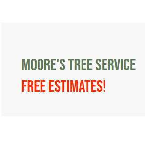 Image for Moore's Tree Service with ID of: 6647873