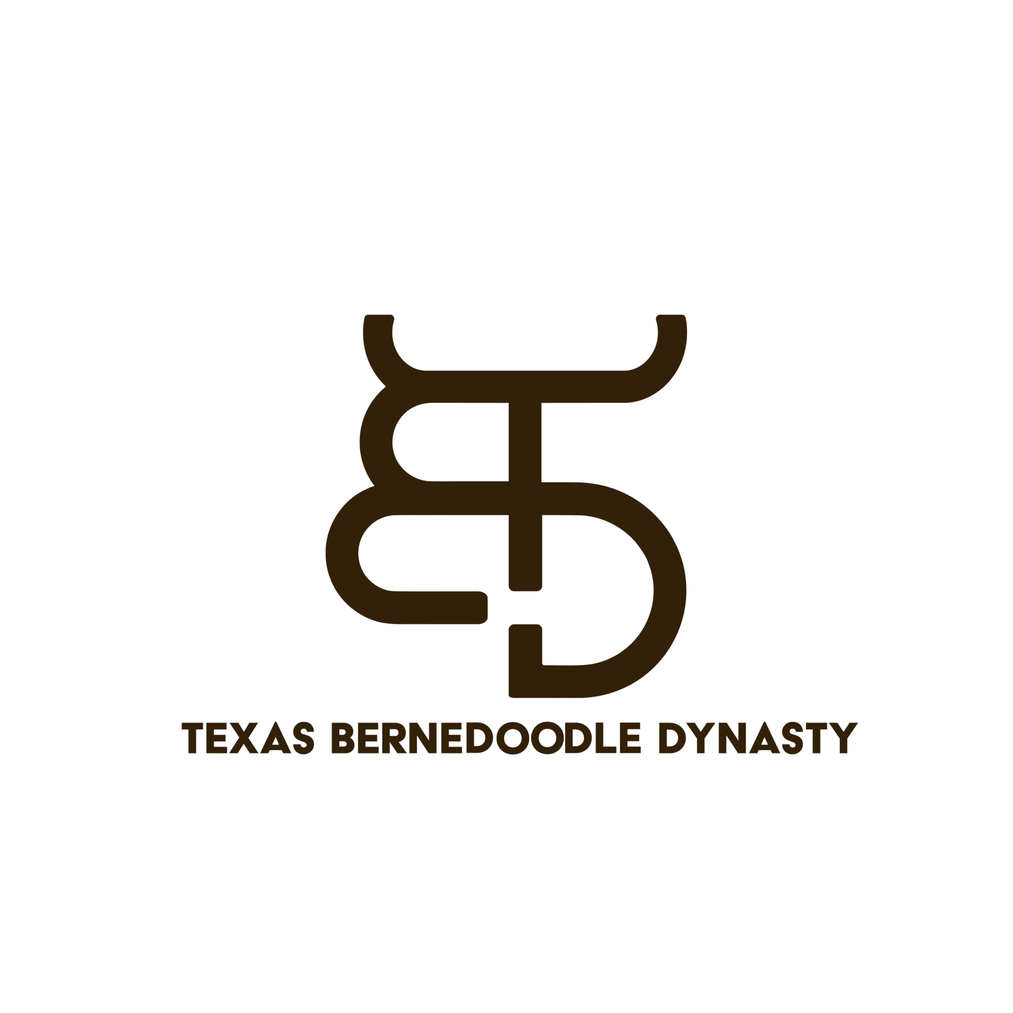Image for Texas Bernedoodle Dynasty with ID of: 6648311