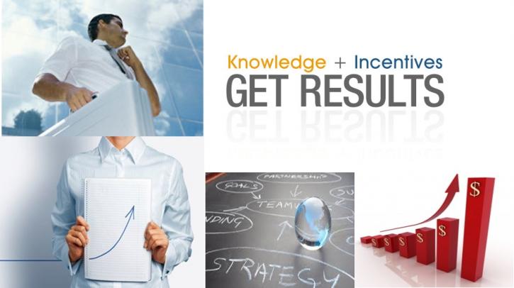Image for Sales Incentive Programs with ID of: 664883