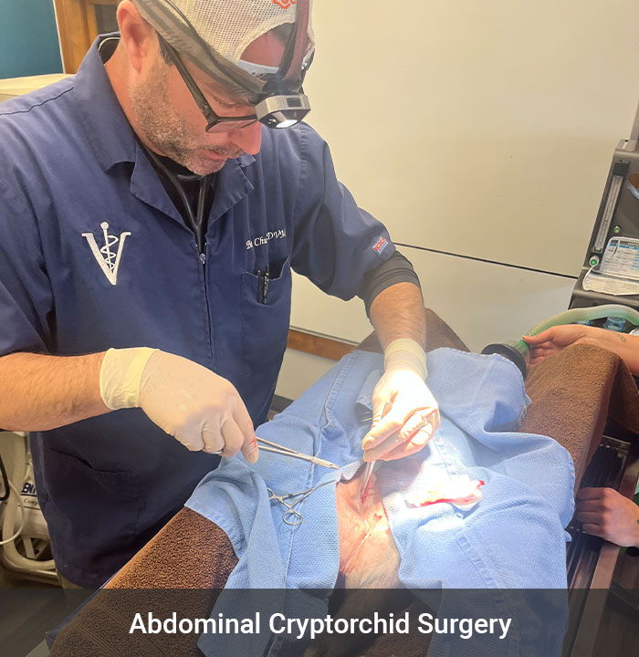 Image for Church's Mobile Veterinary Service with ID of: 6066540