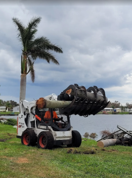 Image for Acorn Tree Service with ID of: 6068023