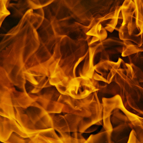 Image for Water Mold & Fire Memphis with ID of: 665058