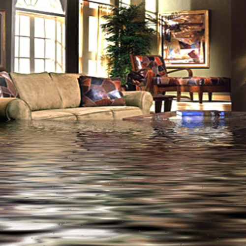 Image for Water Mold & Fire Memphis with ID of: 665061