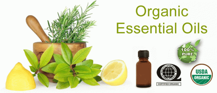 Image for Buy  Organic essential oils online with ID of: 665533