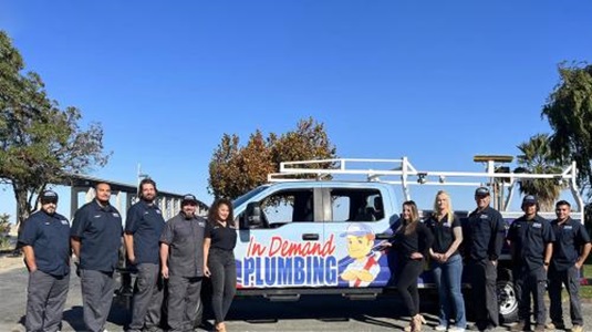 Image for In Demand Plumbing with ID of: 6076324
