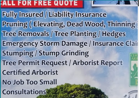 Image for CD Tree Service with ID of: 6657020