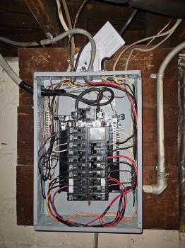 Image for Leopard Electric with ID of: 6077438