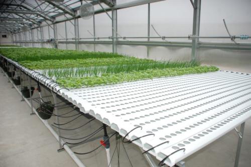 Image for Rimol Greenhouse Systems LLC with ID of: 6077471