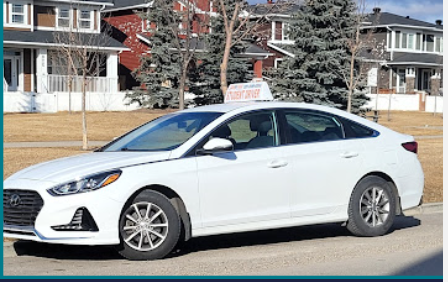 Image for Turn by Turn Driving School with ID of: 6659044
