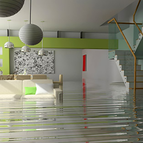 Image for Water Mold & Fire Nashville with ID of: 665996