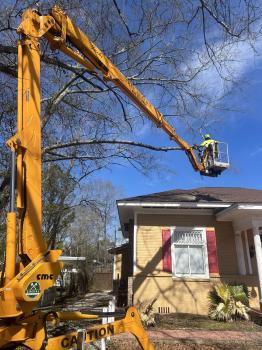 Image for Jack's Tree Service with ID of: 6081922