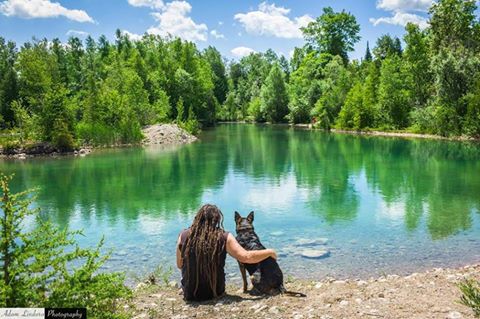 Image for Shute Balanced Dog Training with ID of: 6085002