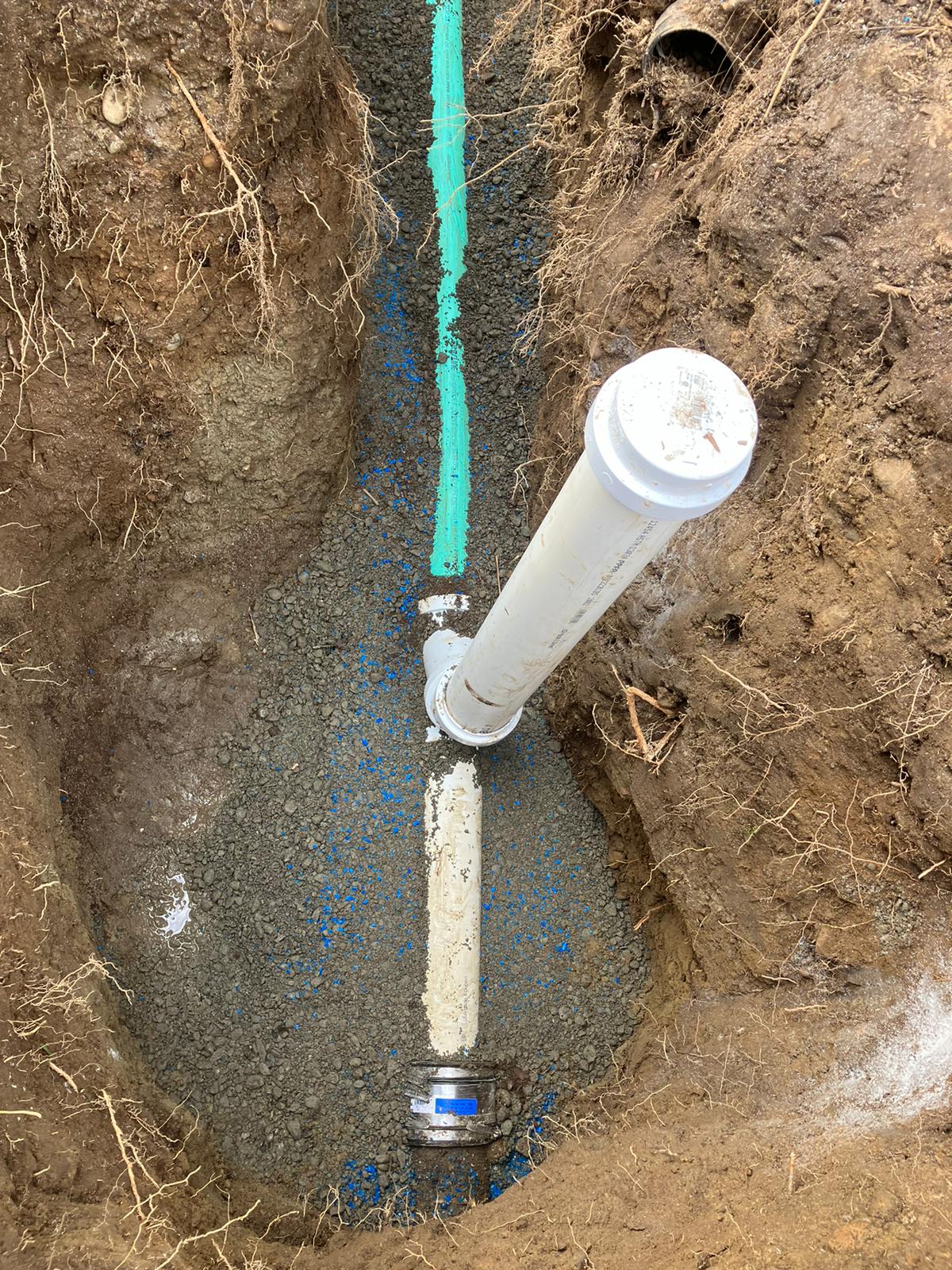Image for Ready Rooter with ID of: 6085188