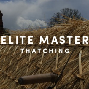 Image for Elite Master Thatching with ID of: 6661303