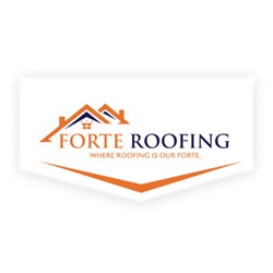 Image for Forte Roofing with ID of: 6663321