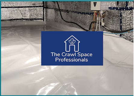 Image for The Crawl Space Professionals with ID of: 6663899