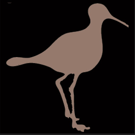 Image for Sandpiper Marine Services with ID of: 6667648