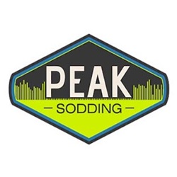 Image for Peak Sodding with ID of: 6667877