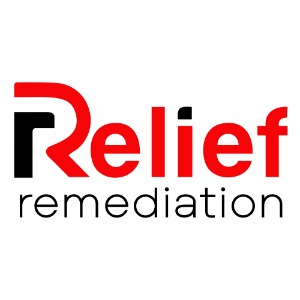 Image for Relief Remediation with ID of: 6668364