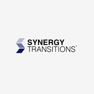 Image for Synergy Transitions with ID of: 6668783