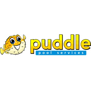 Image for Puddle Pool Services with ID of: 6669045