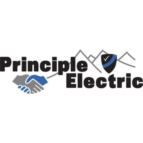 Image for Principle Electric with ID of: 6669104