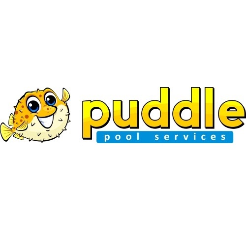 Image for Puddle Pool Services with ID of: 6669298