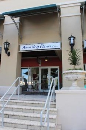Image for Amazing Flowers Miami with ID of: 6093333