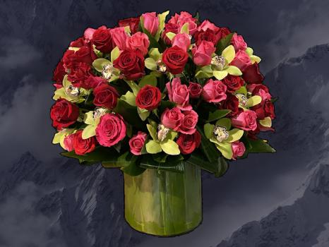 Image for Amazing Flowers Miami with ID of: 6093341