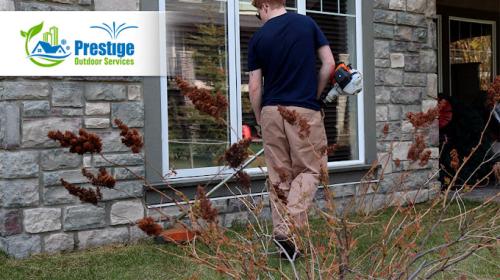 Image for Prestige Outdoor Services with ID of: 6094679