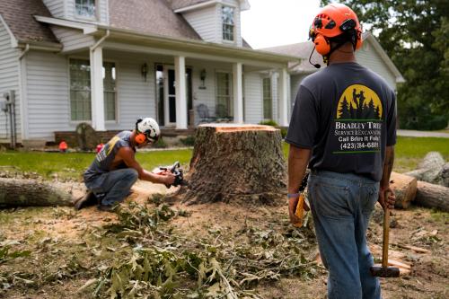 Image for Bradley Tree Service & Excavating with ID of: 6099028