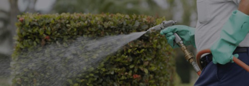 Image for Insight Pest Solutions with ID of: 6099119