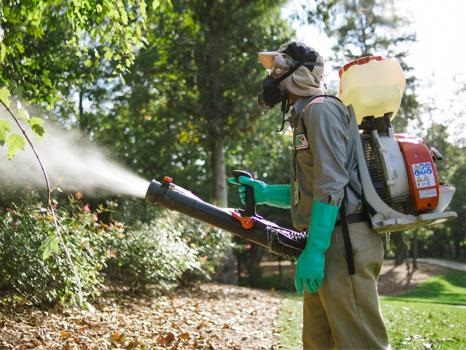 Image for Clark's Termite & Pest Control with ID of: 6100510