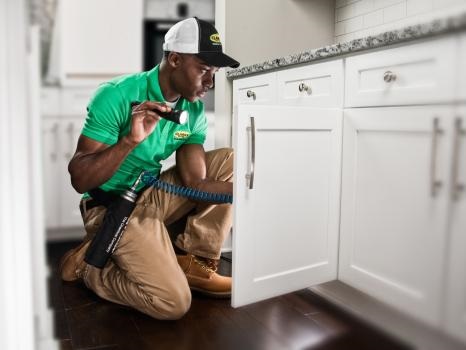 Image for Clark's Termite & Pest Control with ID of: 6100512