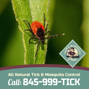 Image for Tick & Mosquito Pro with ID of: 6102263