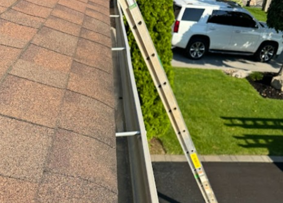 Image for Zebra Window & Eaves Cleaning with ID of: 6676767