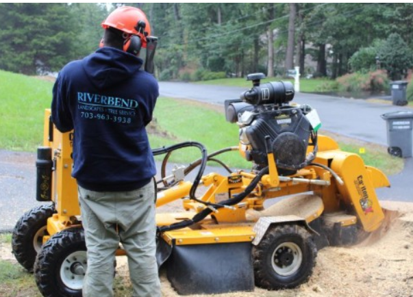 Image for Beesley Tree Care with ID of: 6676822