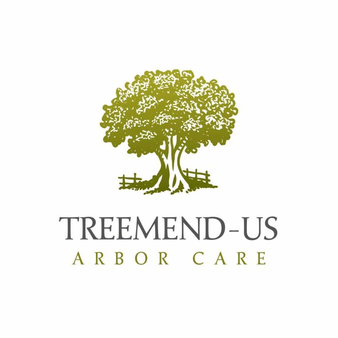 Image for TreeMendus Arbor Care with ID of: 6677736