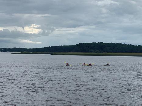 Image for Outside Savannah with ID of: 6106129