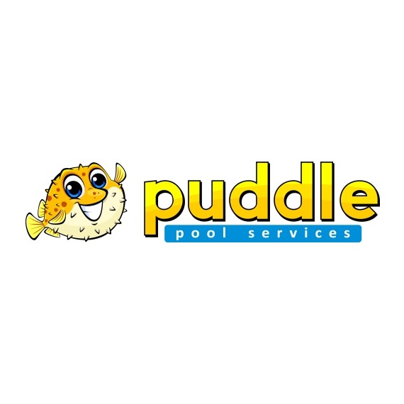 Image for Puddle Pool Services with ID of: 6679816