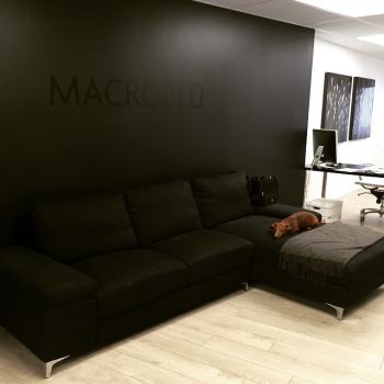 Image for Macroblu Website Design Agency with ID of: 6107948