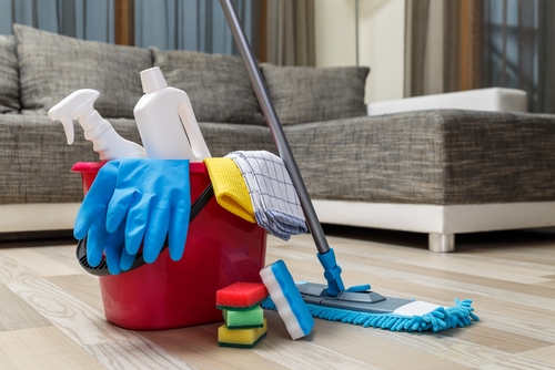 Image for Sky's Cleaning Service with ID of: 6113124